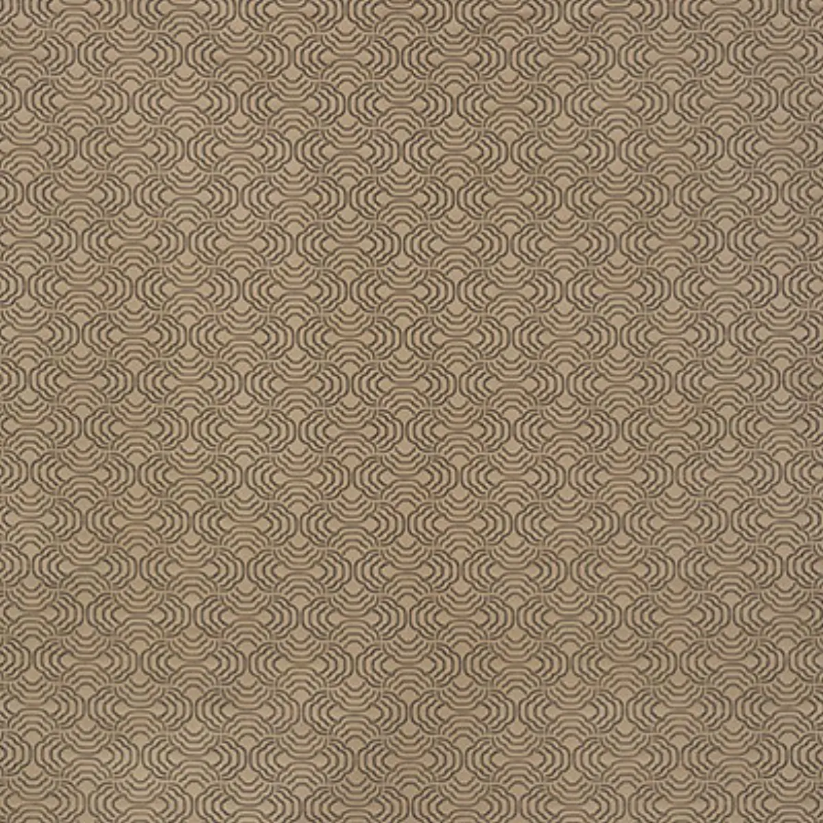 APOLLO_ BRONZE