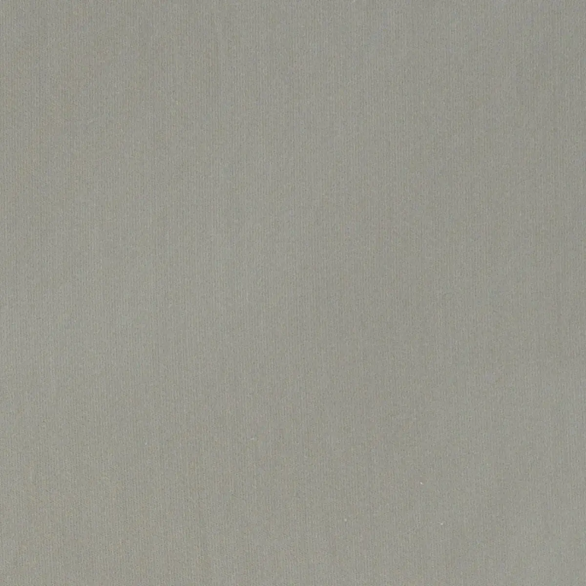LUCA SATIN_ ZINC