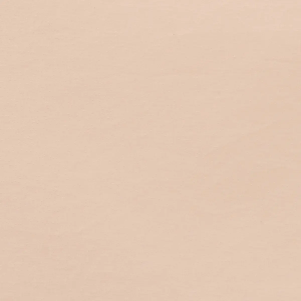 LUCA SATIN_ BLUSH