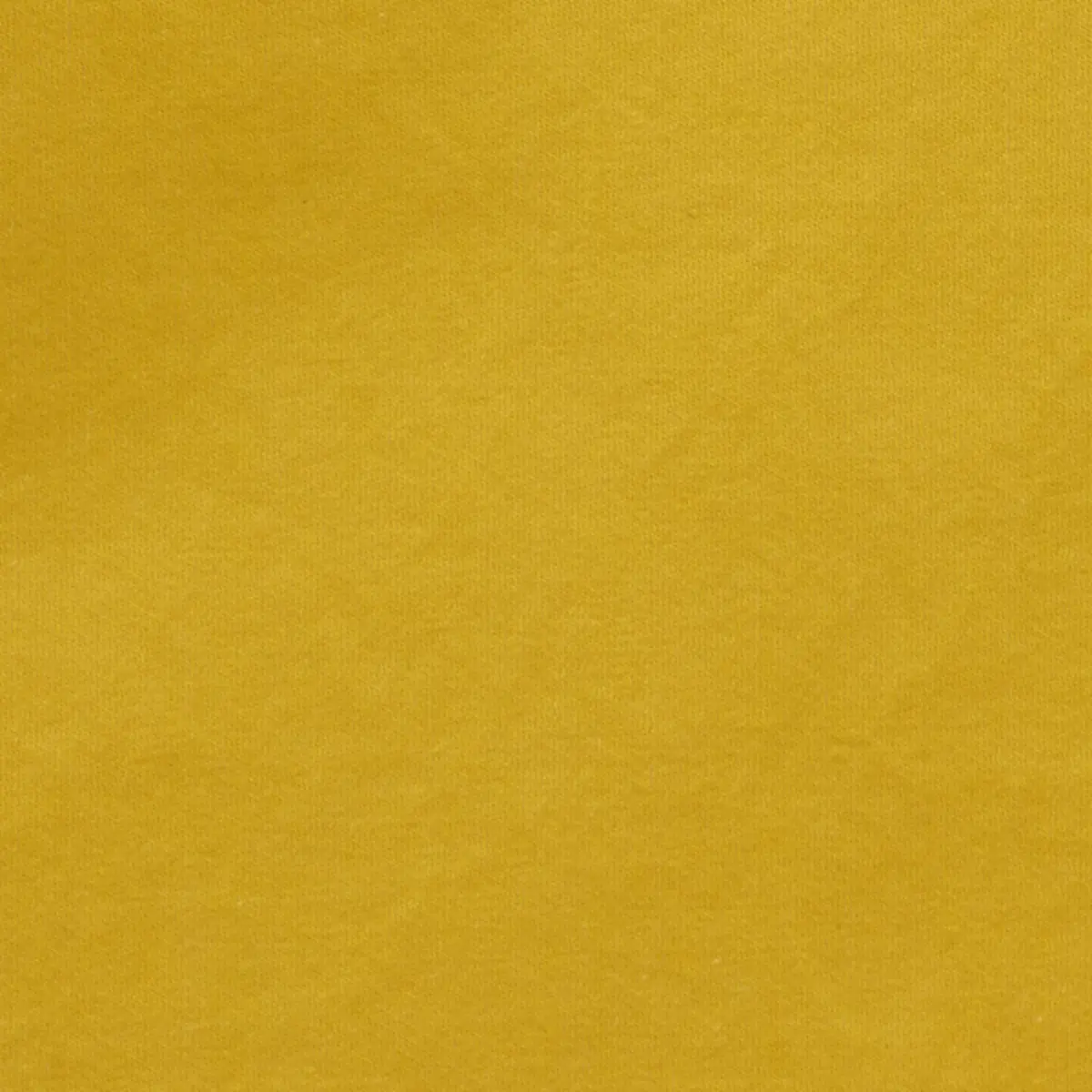 LUCA SATIN_ JONQUIL