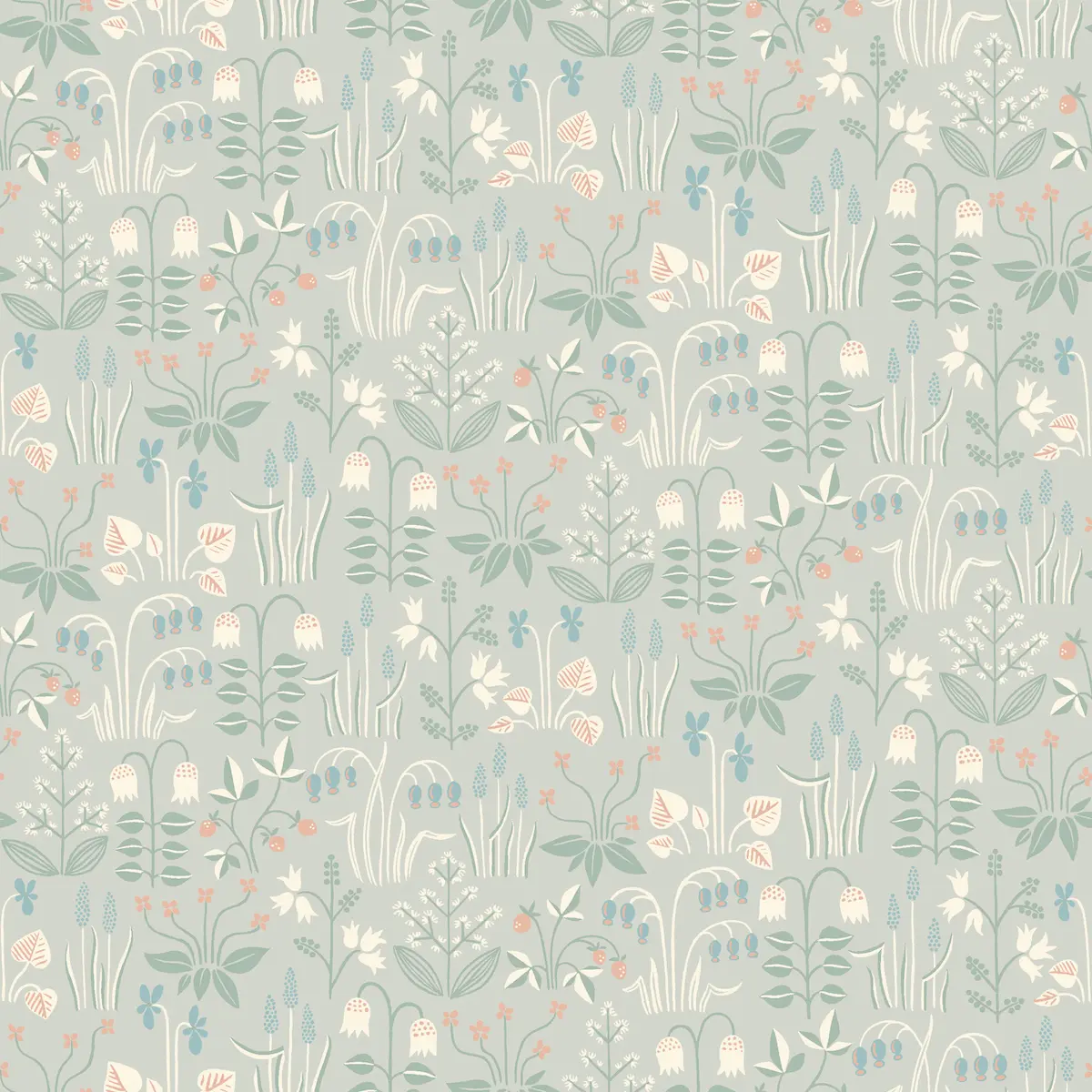 STRAWBERRY FIELD_ DOVE