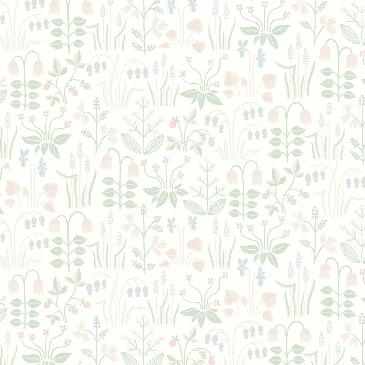 STRAWBERRY FIELD_ IVORY