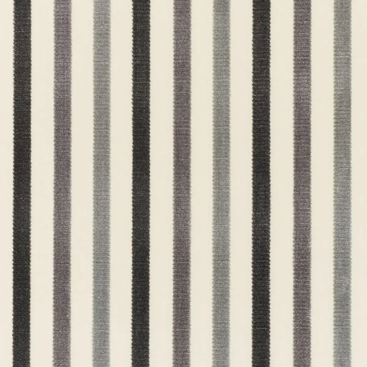 LE MATELOT_ CHARCOAL