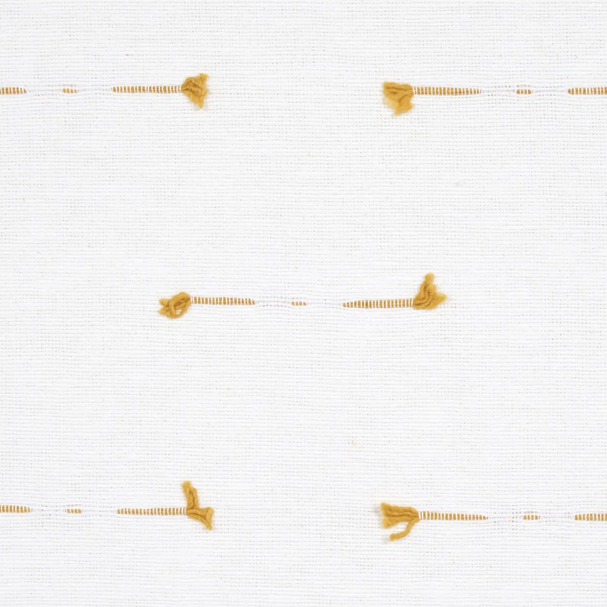 TETON_ MAIZE