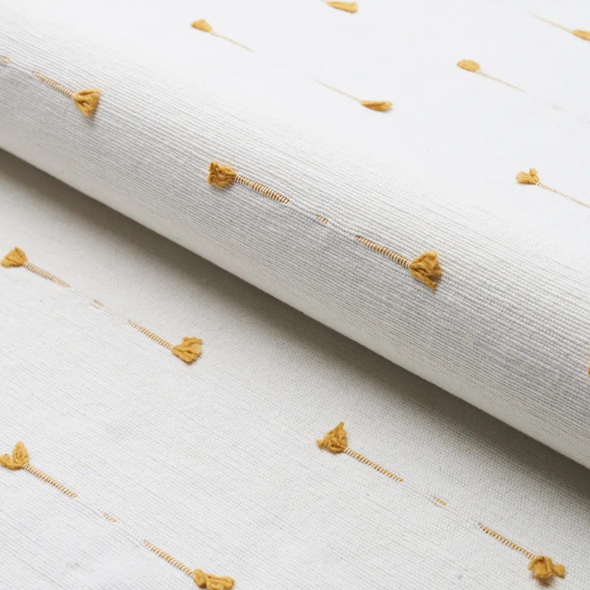 TETON_ MAIZE