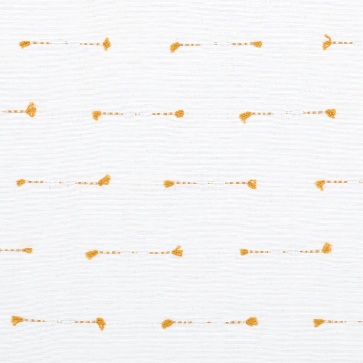 TETON_ MAIZE