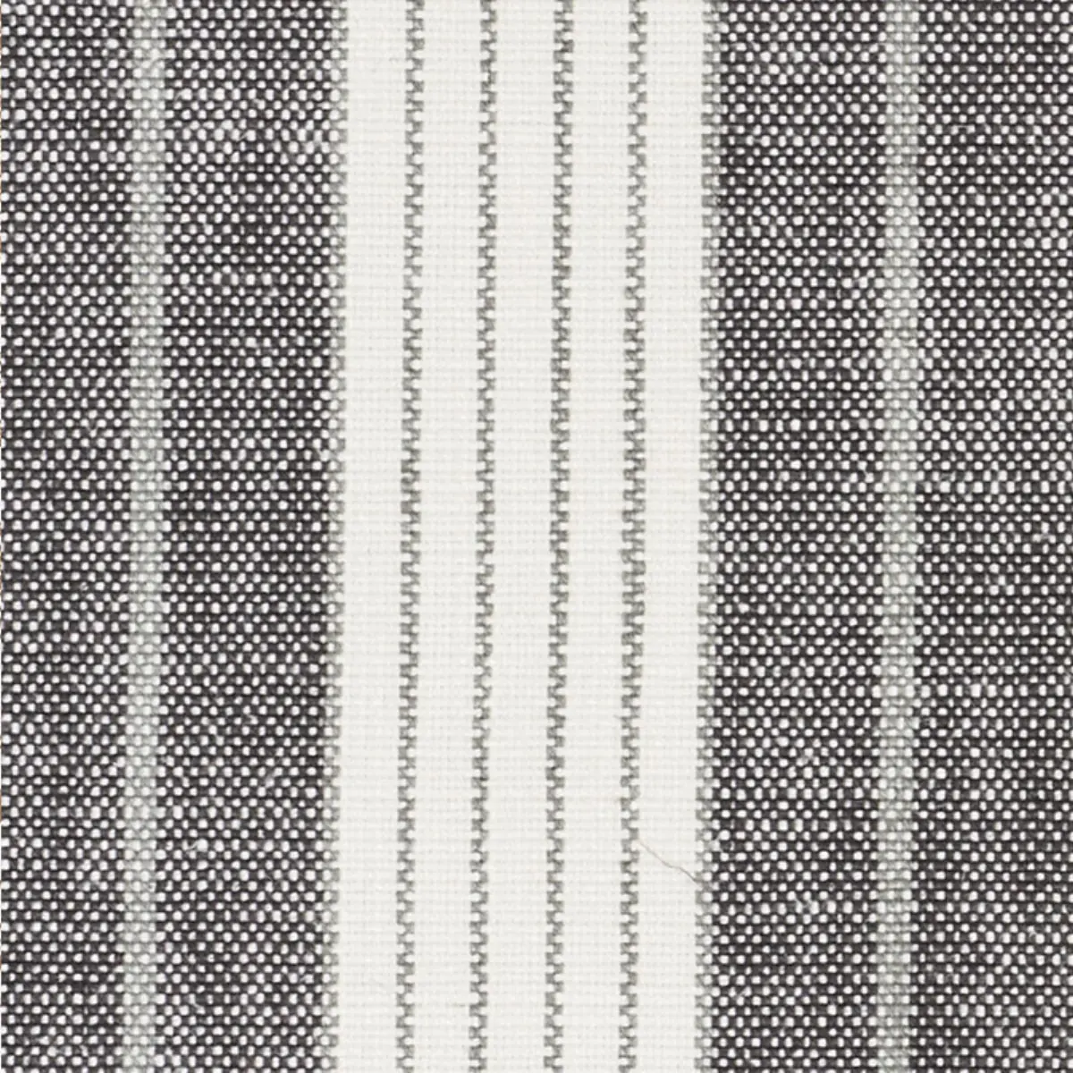 HORST STRIPE_ BLACKWORK