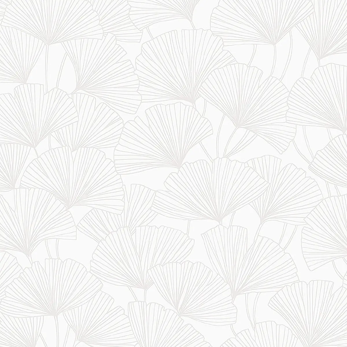 GINKGO_ PEARL