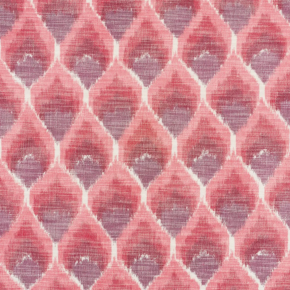ODISHA IKAT_ REDS