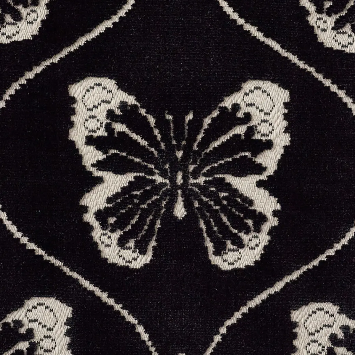 PAPILLON VELVET_ ONYX