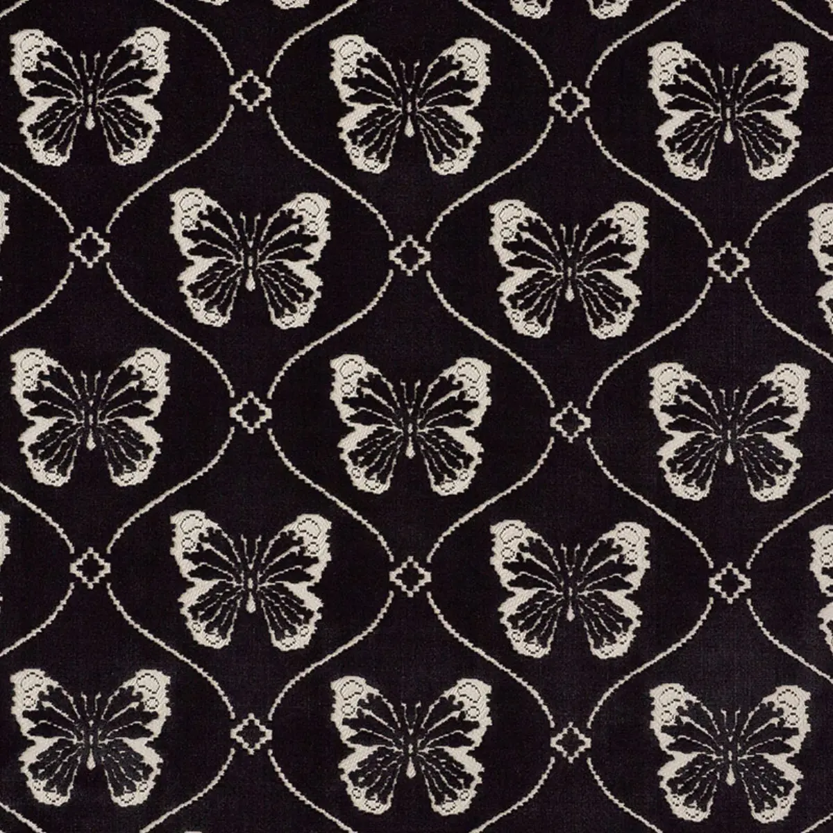 PAPILLON VELVET_ ONYX