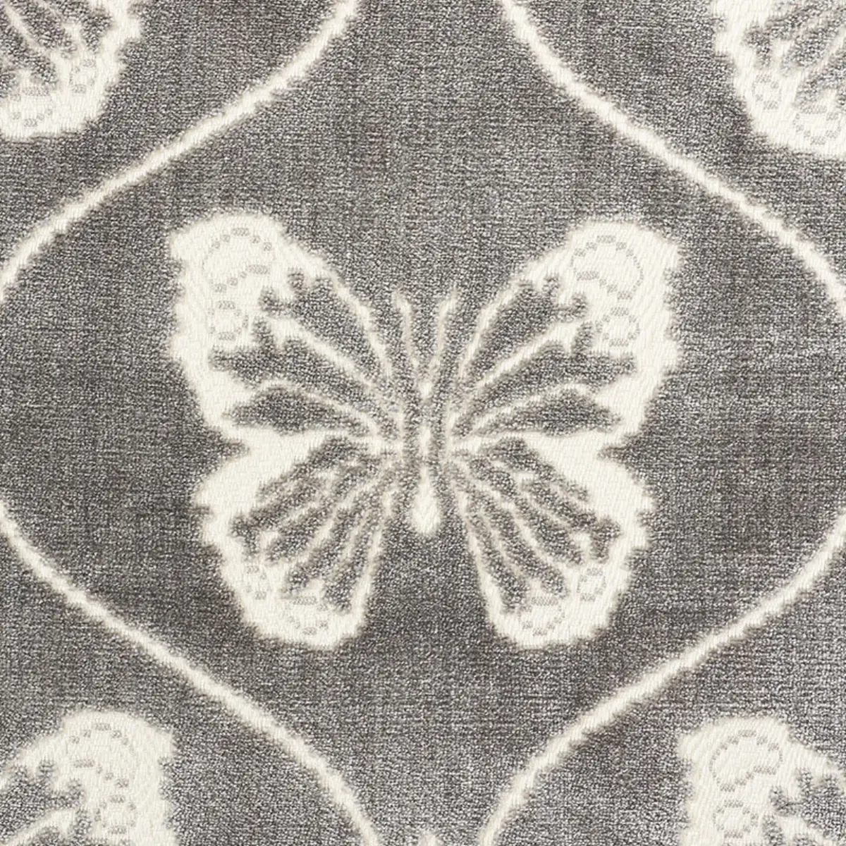 PAPILLON VELVET_ PEWTER