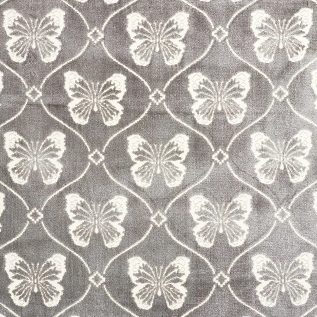 PAPILLON VELVET_ PEWTER
