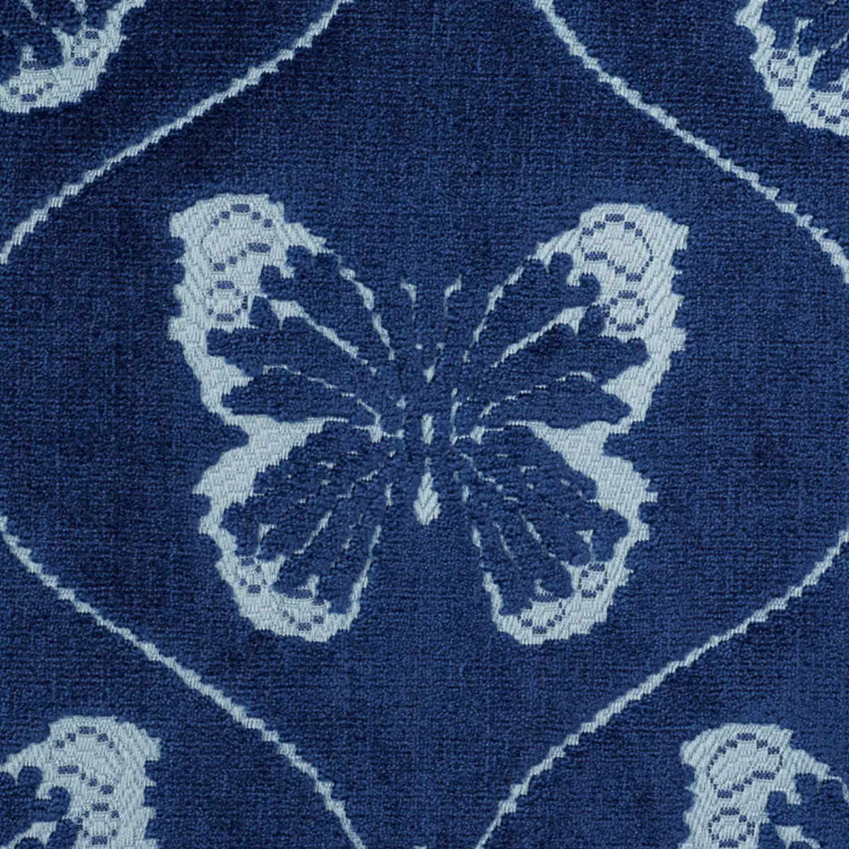 PAPILLON VELVET_ SAPPHIRE