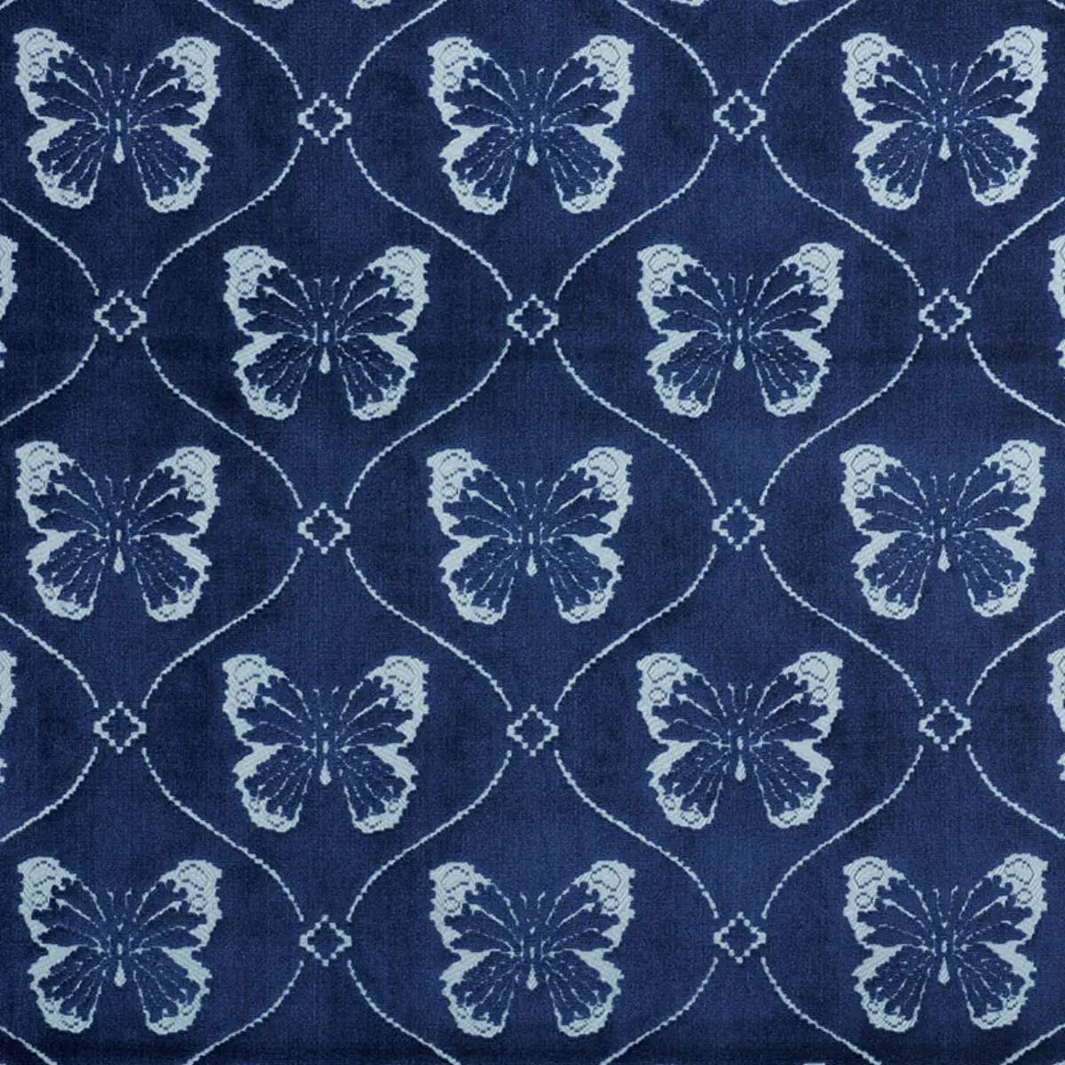 PAPILLON VELVET_ SAPPHIRE