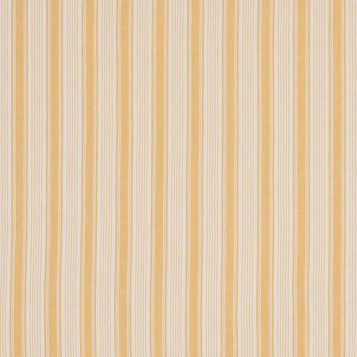 OJAI STRIPE_ YELLOW