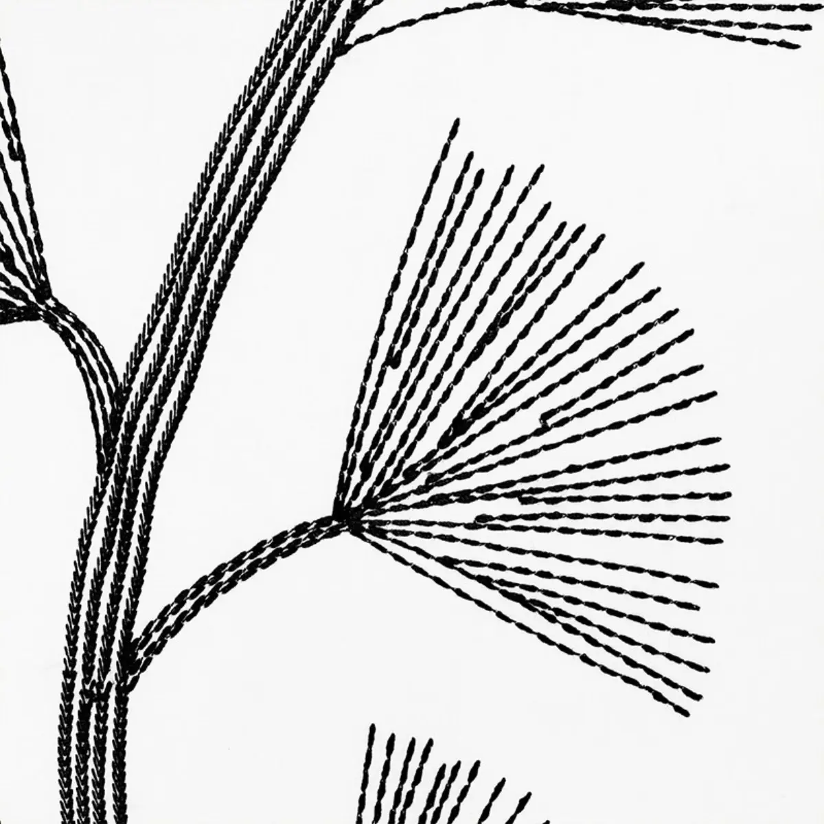GINKGO EMBROIDERY_ JET