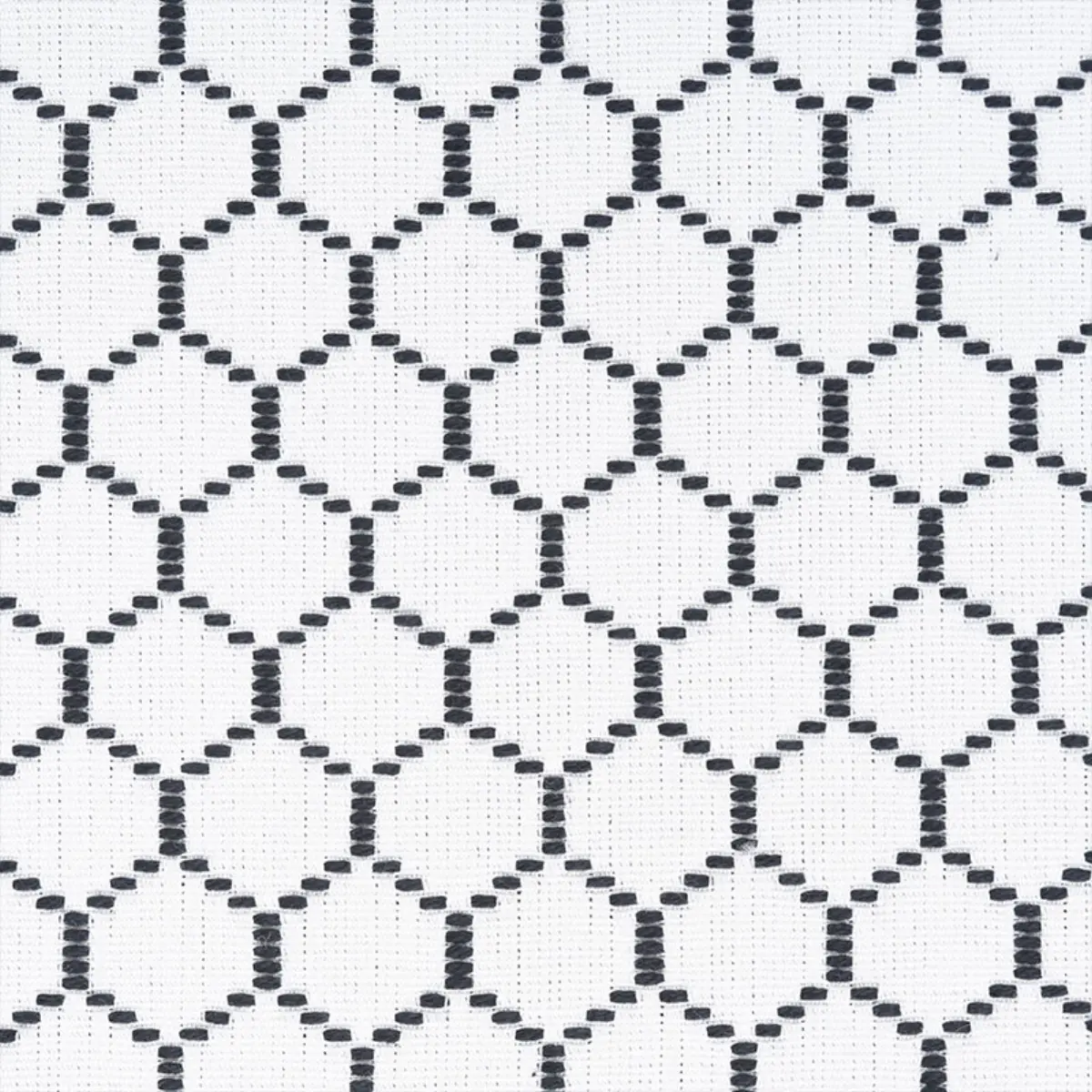 FISHNET_ SPECTATOR