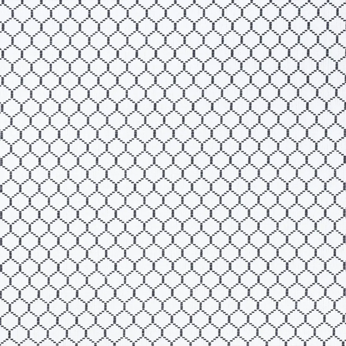 FISHNET_ SPECTATOR