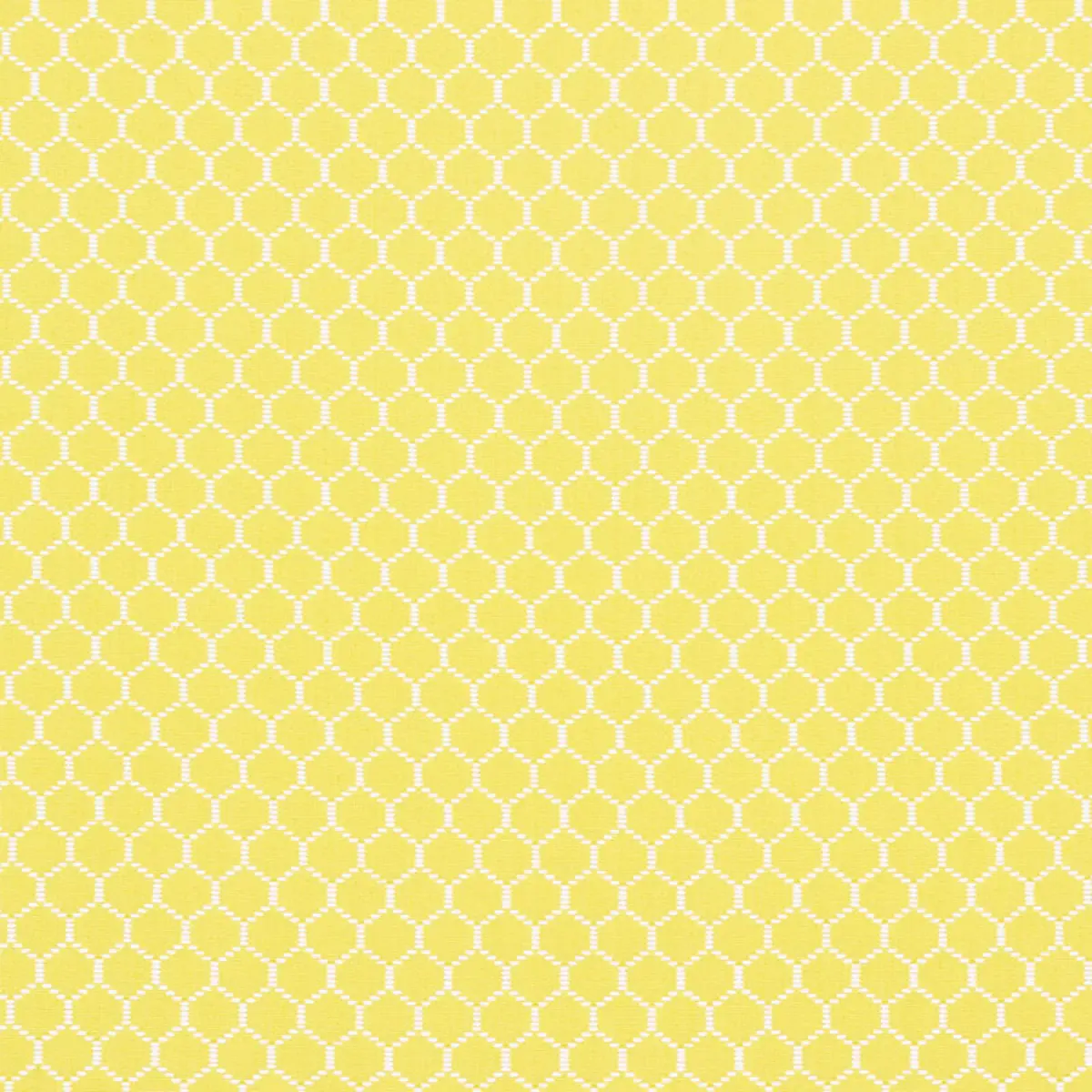 FISHNET_ YELLOW