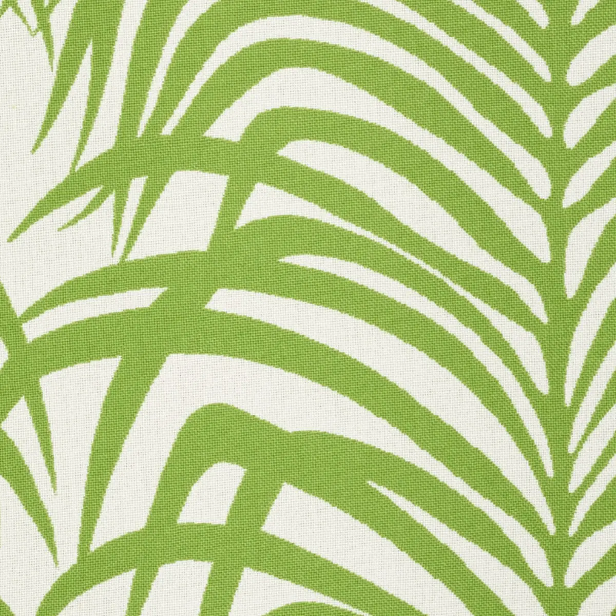 ZEBRA PALM INDOOR/OUTDOOR_ LEAF