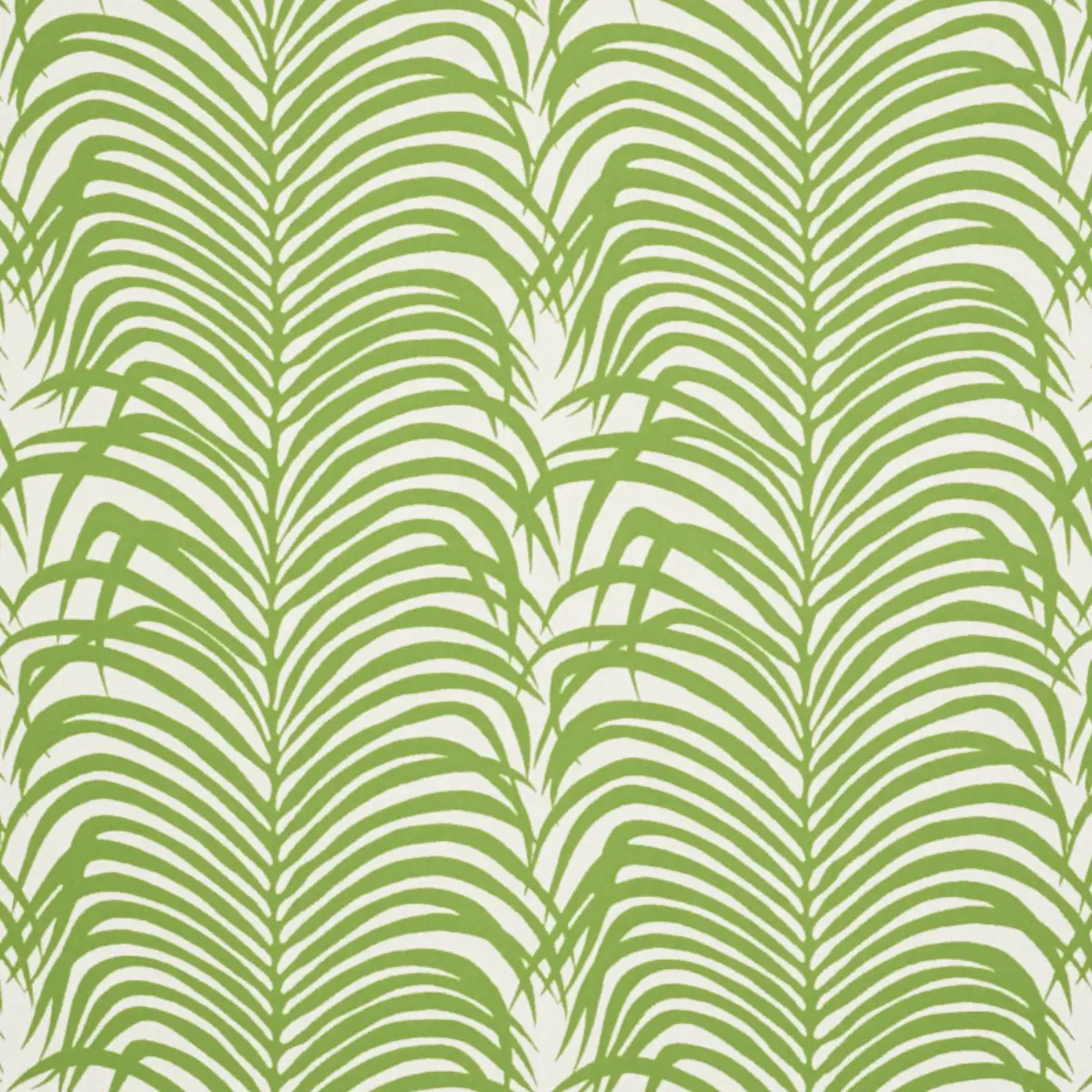 ZEBRA PALM INDOOR/OUTDOOR_ LEAF