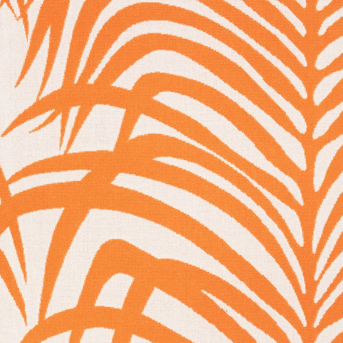 ZEBRA PALM INDOOR/OUTDOOR_ ORANGE