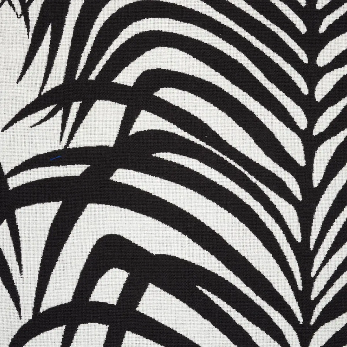 ZEBRA PALM INDOOR/OUTDOOR_ BLACK