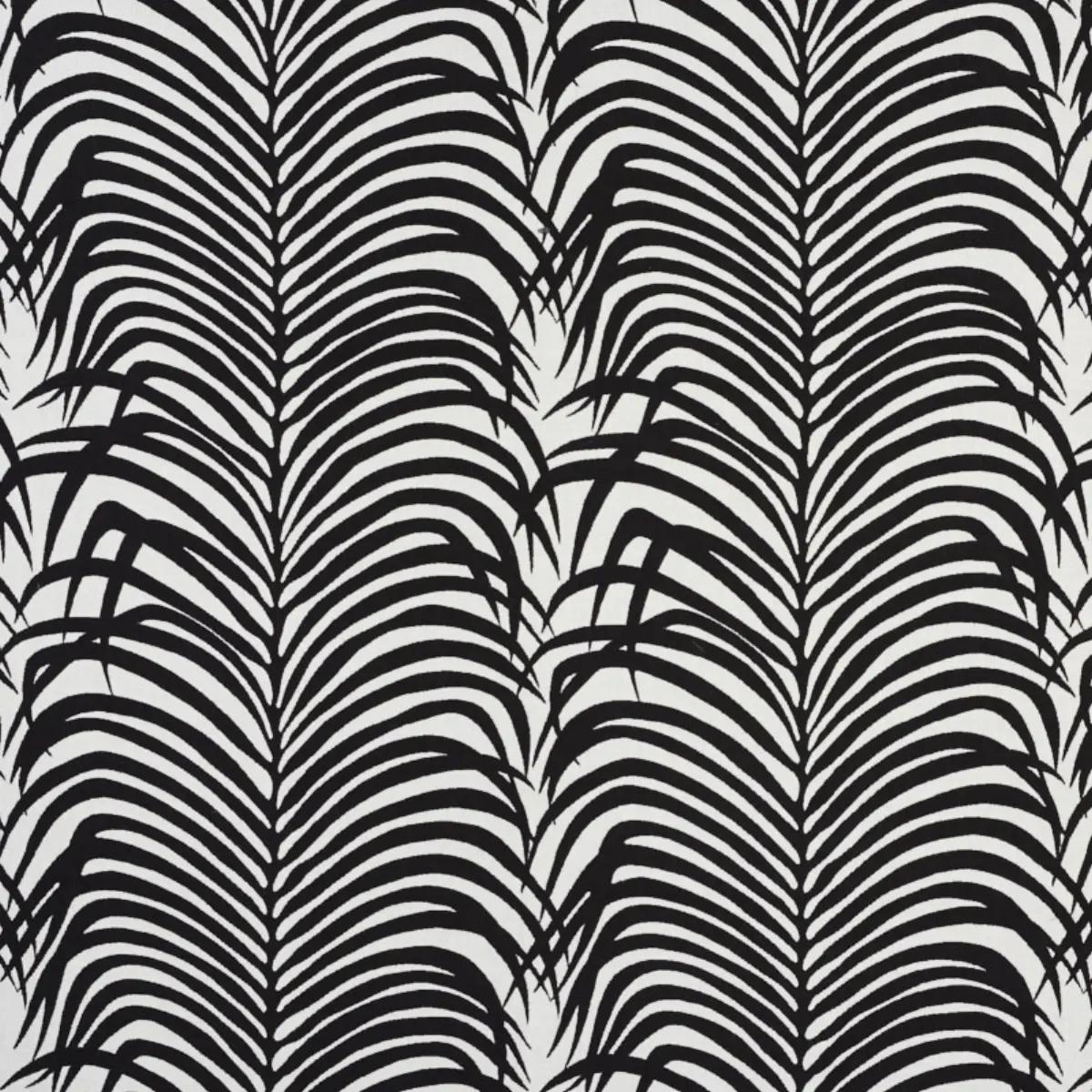 ZEBRA PALM INDOOR/OUTDOOR_ BLACK