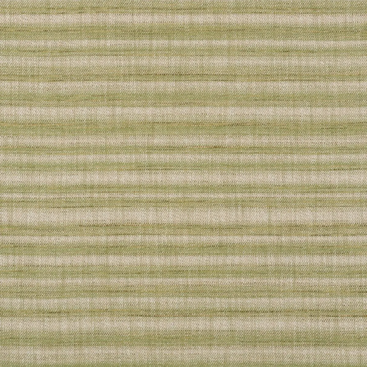 PETRA STRIPE_ GRASS