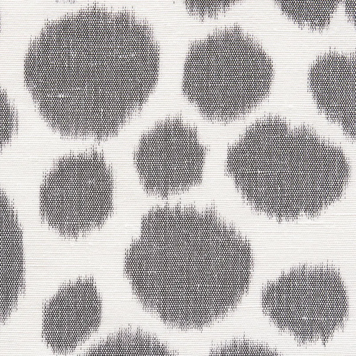 ZOE_ GRAPHITE