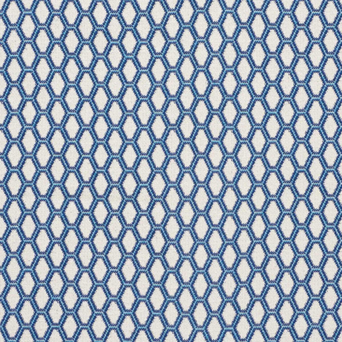 BEEHIVE_ BLUE