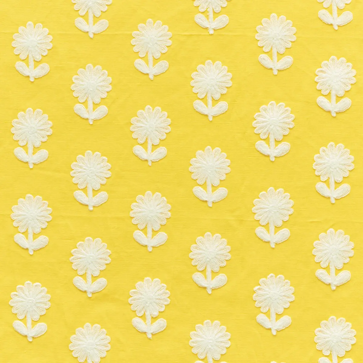Paley Embroidery_ YELLOW