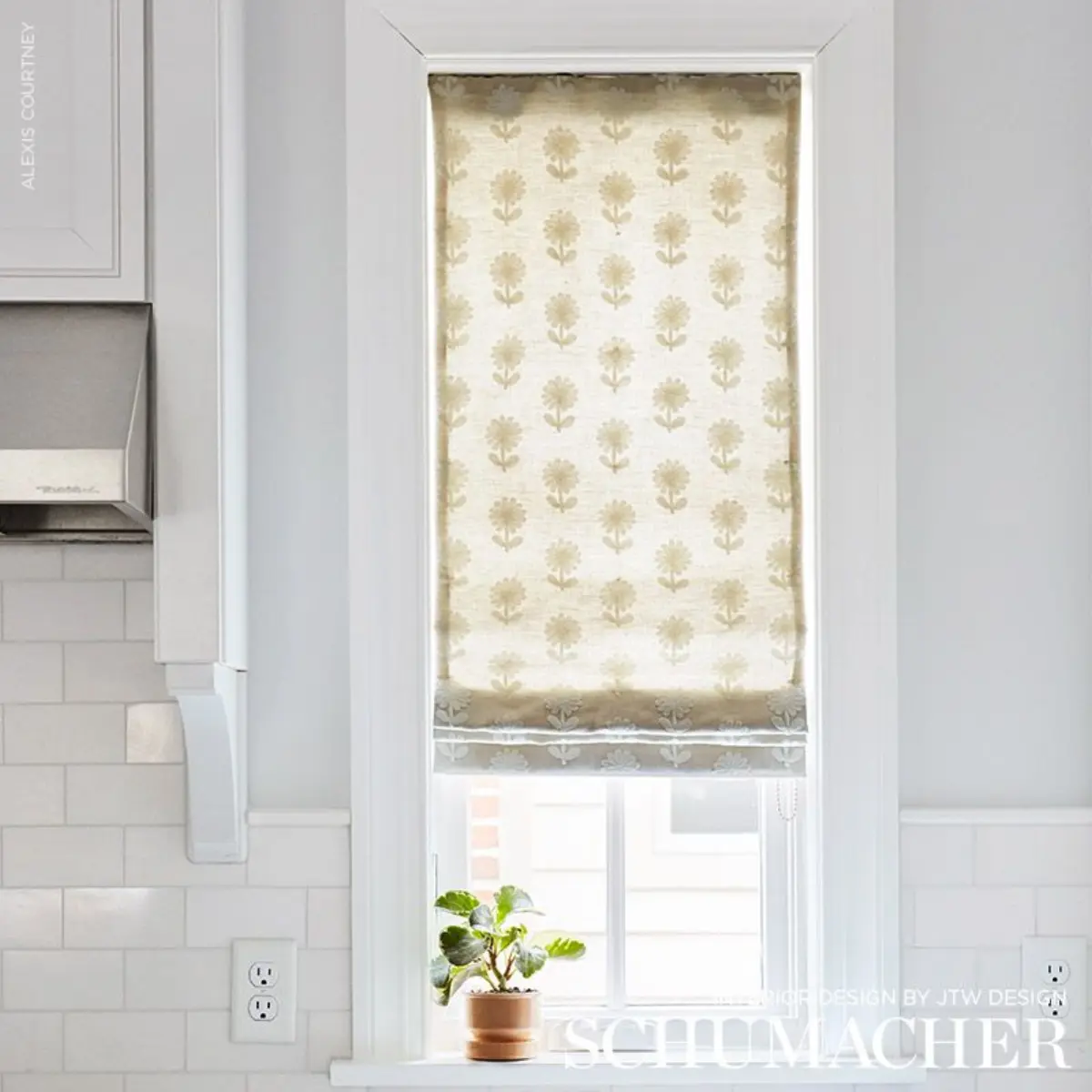 Paley Embroidery_ NATURAL