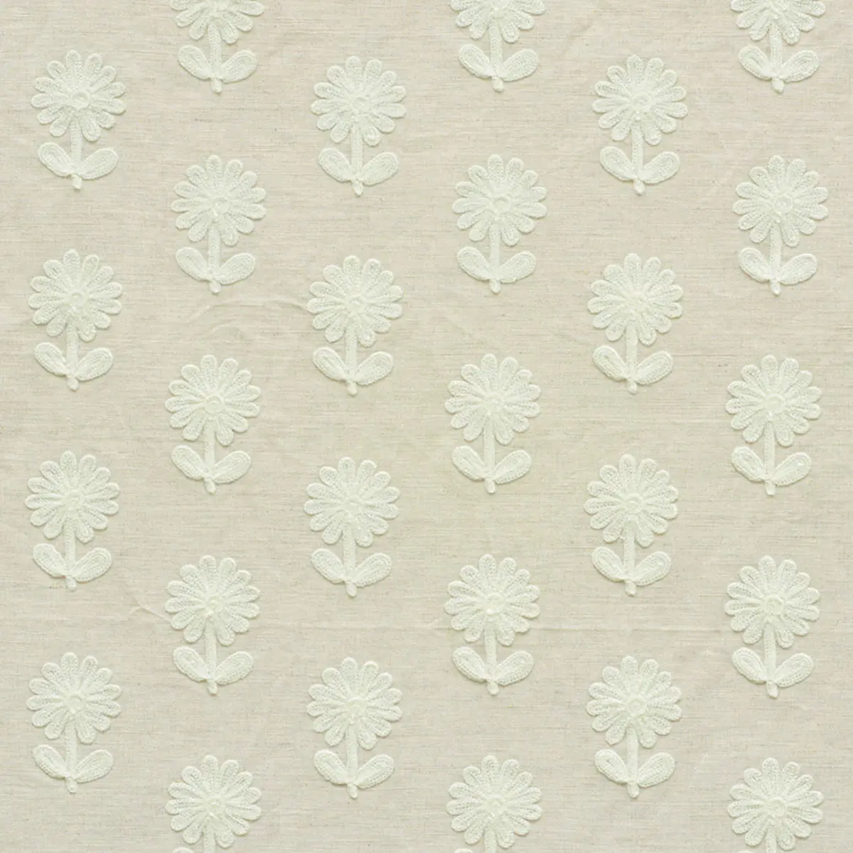Paley Embroidery_ NATURAL