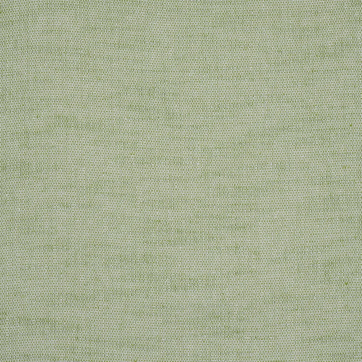 CAMARILLO WEAVE INDOOR/OUTDOOR_ LEAF
