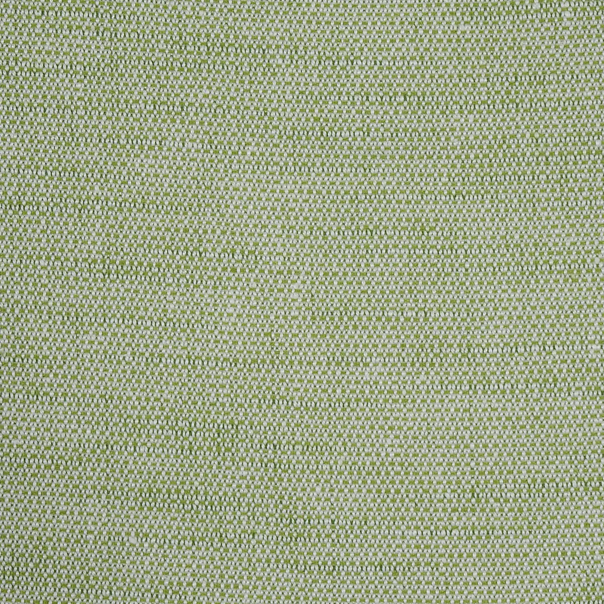 CAMARILLO WEAVE INDOOR/OUTDOOR_ LEAF
