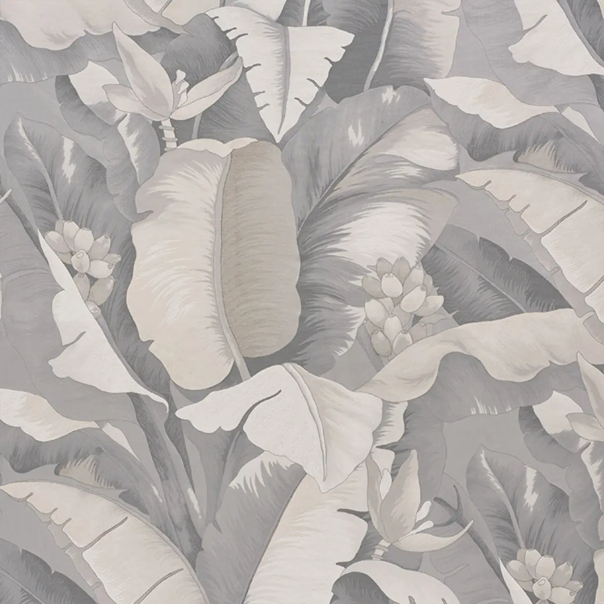 BOTANICO_ PLATINUM