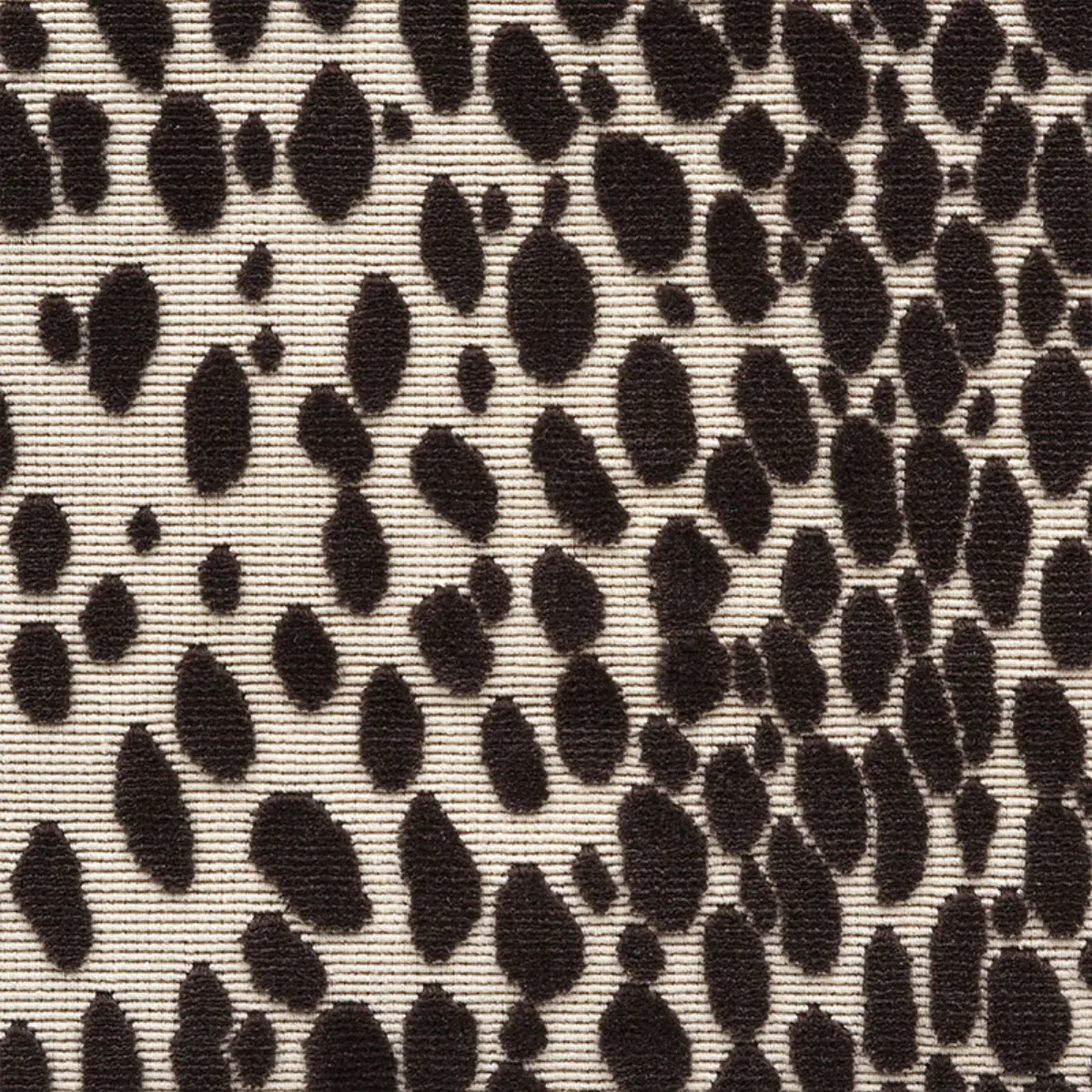 CHEETAH VELVET_ JAVA