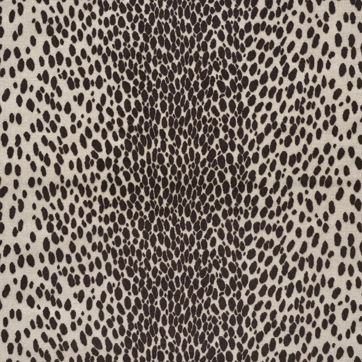 CHEETAH VELVET_ JAVA