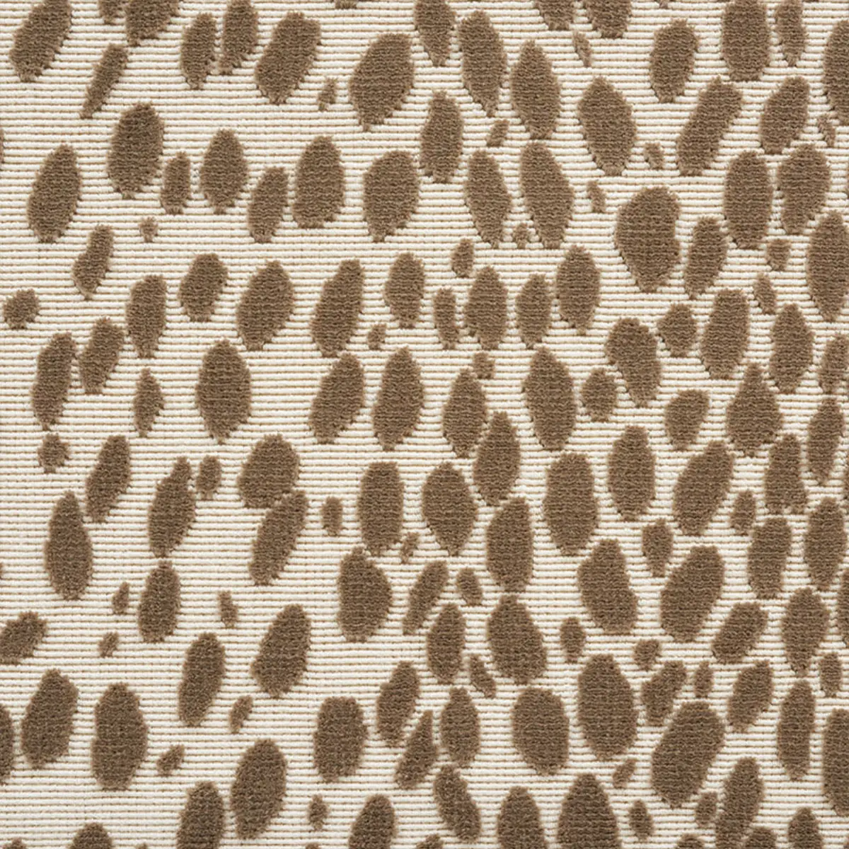 CHEETAH VELVET_ NATURAL