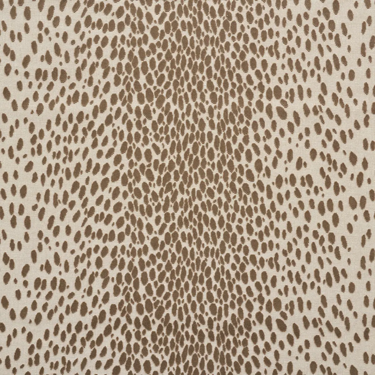 CHEETAH VELVET_ NATURAL