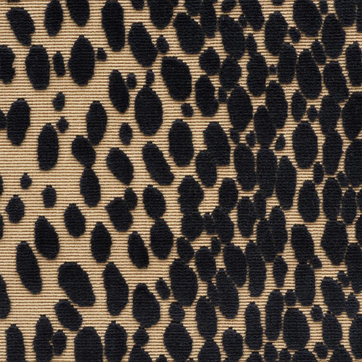 CHEETAH VELVET_ EBONY
