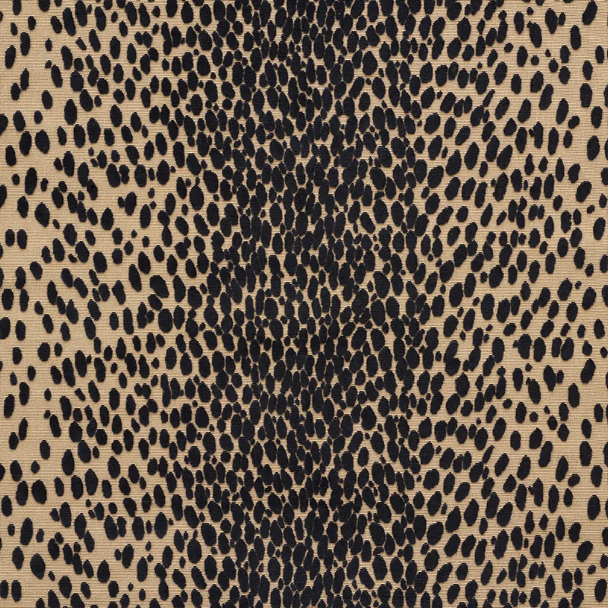 CHEETAH VELVET_ EBONY
