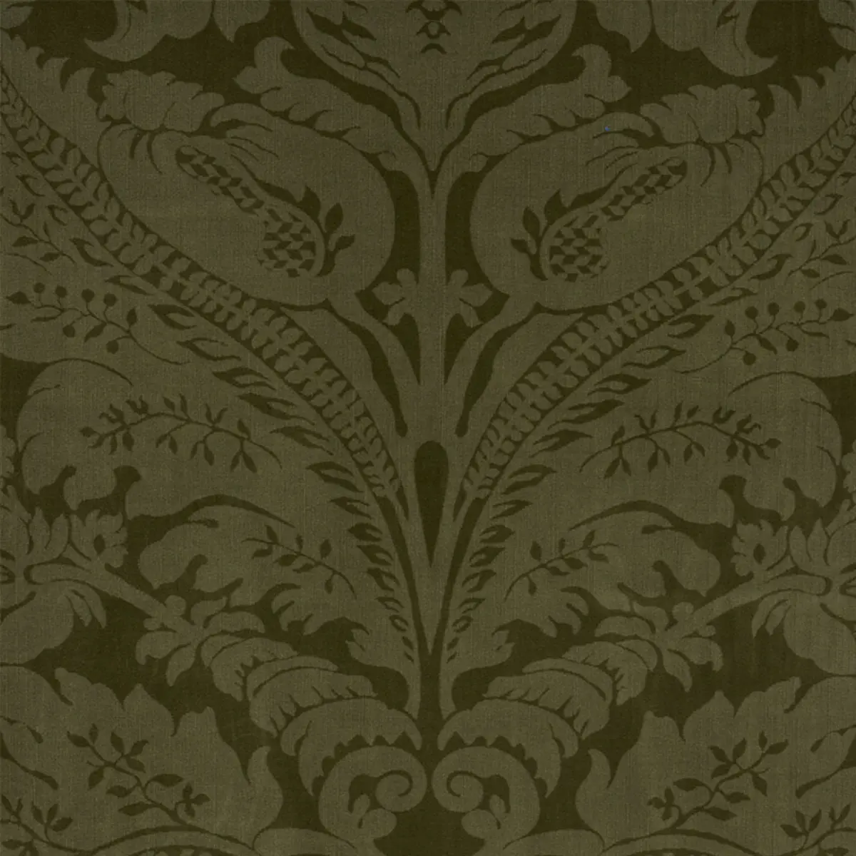 CORDWAIN VELVET_ OLIVE