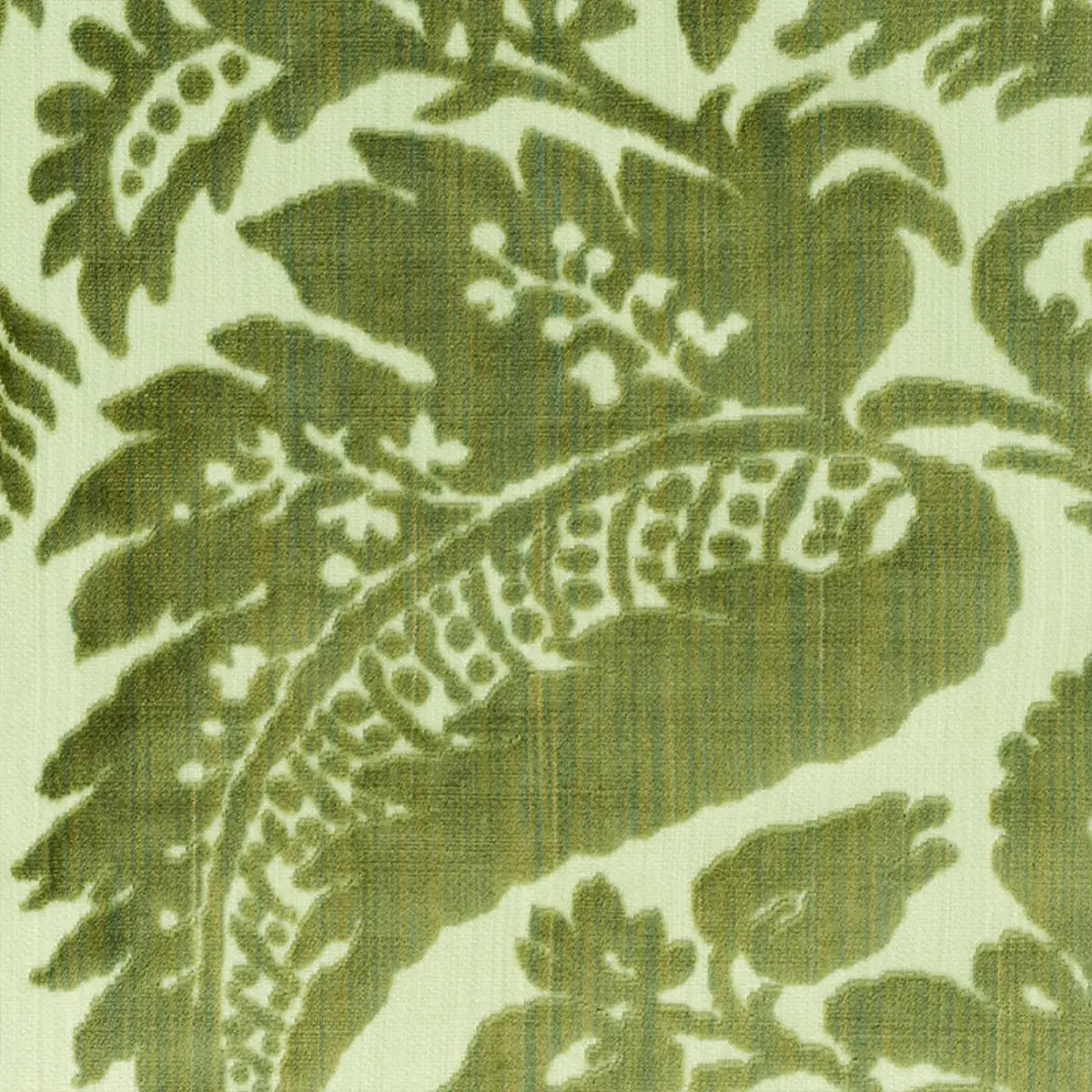 PAVIA SILK VELVET_ OLIVINE