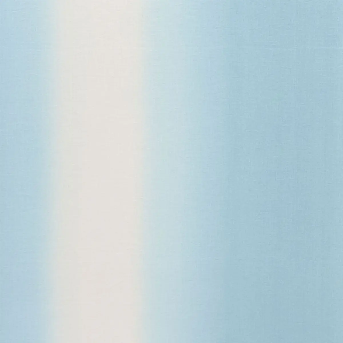 LAGO_ SKY