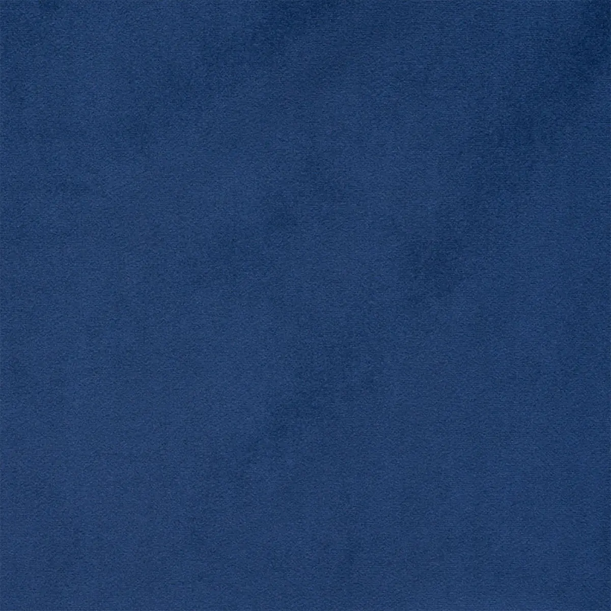 EMPRESS PERFORMANCE VELVET_ NAVY