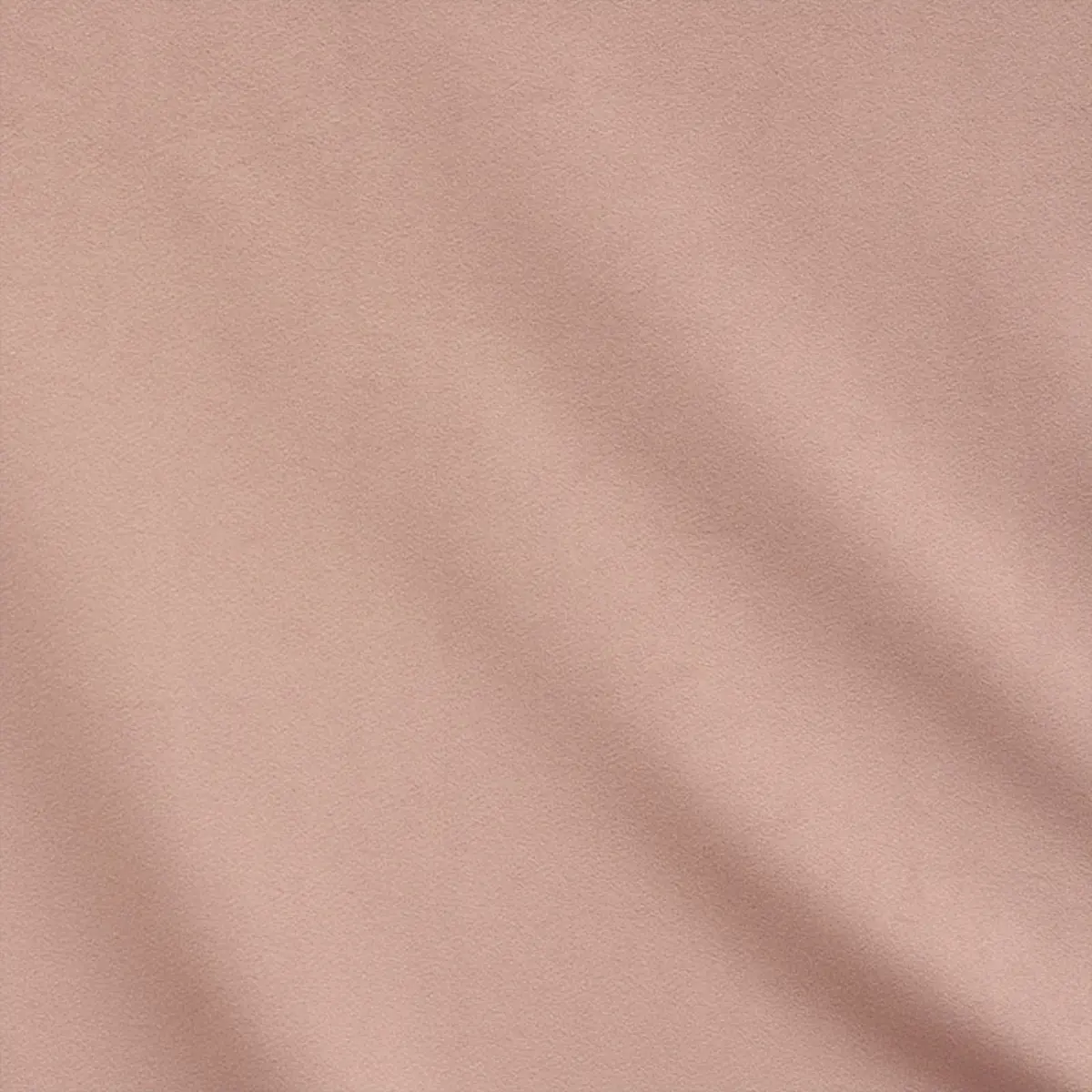 EMPRESS PERFORMANCE VELVET_ CAMEO