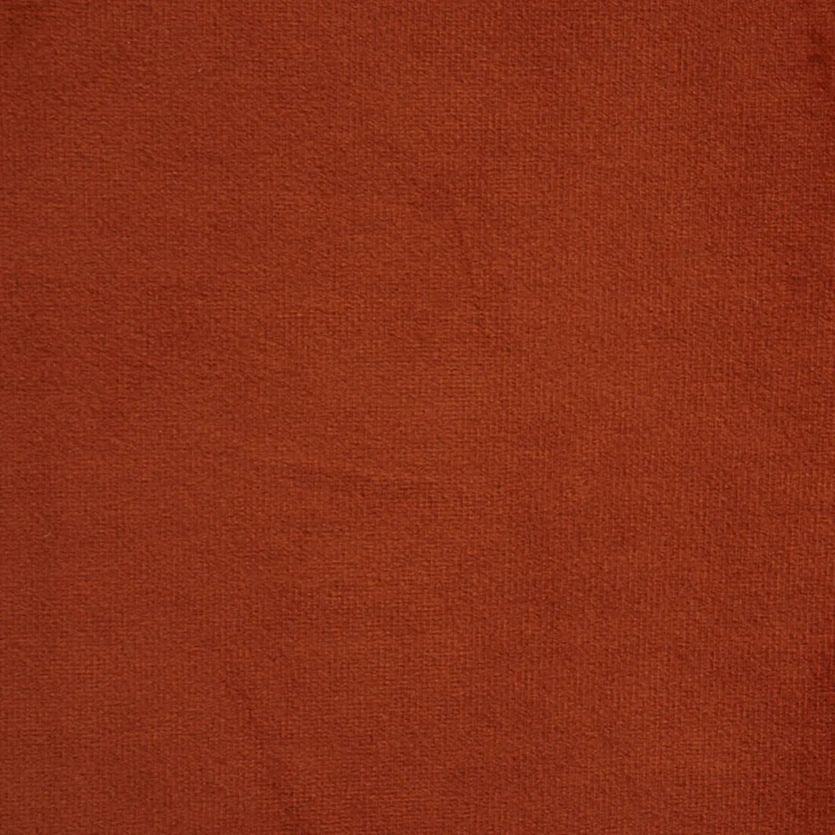 EMPRESS PERFORMANCE VELVET_ SPICE